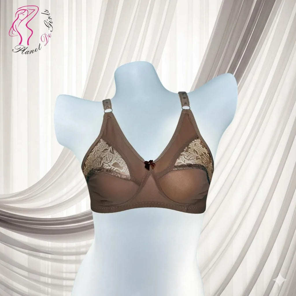 Brown Malai Jersey Full Cup Bra with Net Design